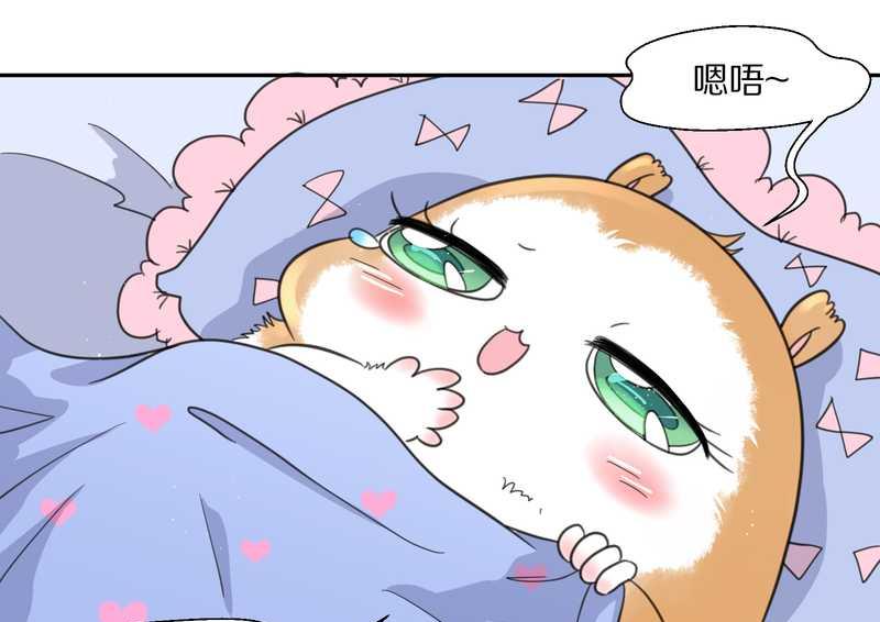 毛球星传说 第36集-第36话