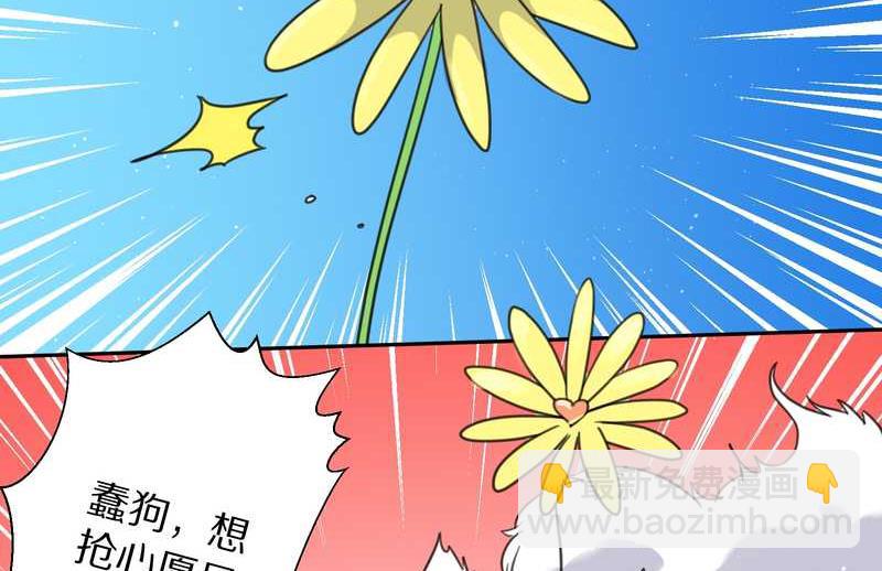 毛球星传说 第38集(1/2)-第38话