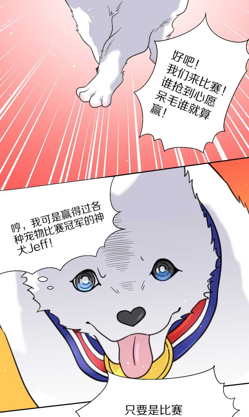 毛球星传说 第38集(1/2)-第38话