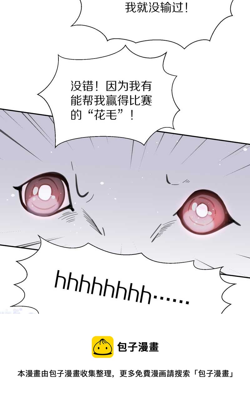 毛球星传说 第38集(1/2)-第38话