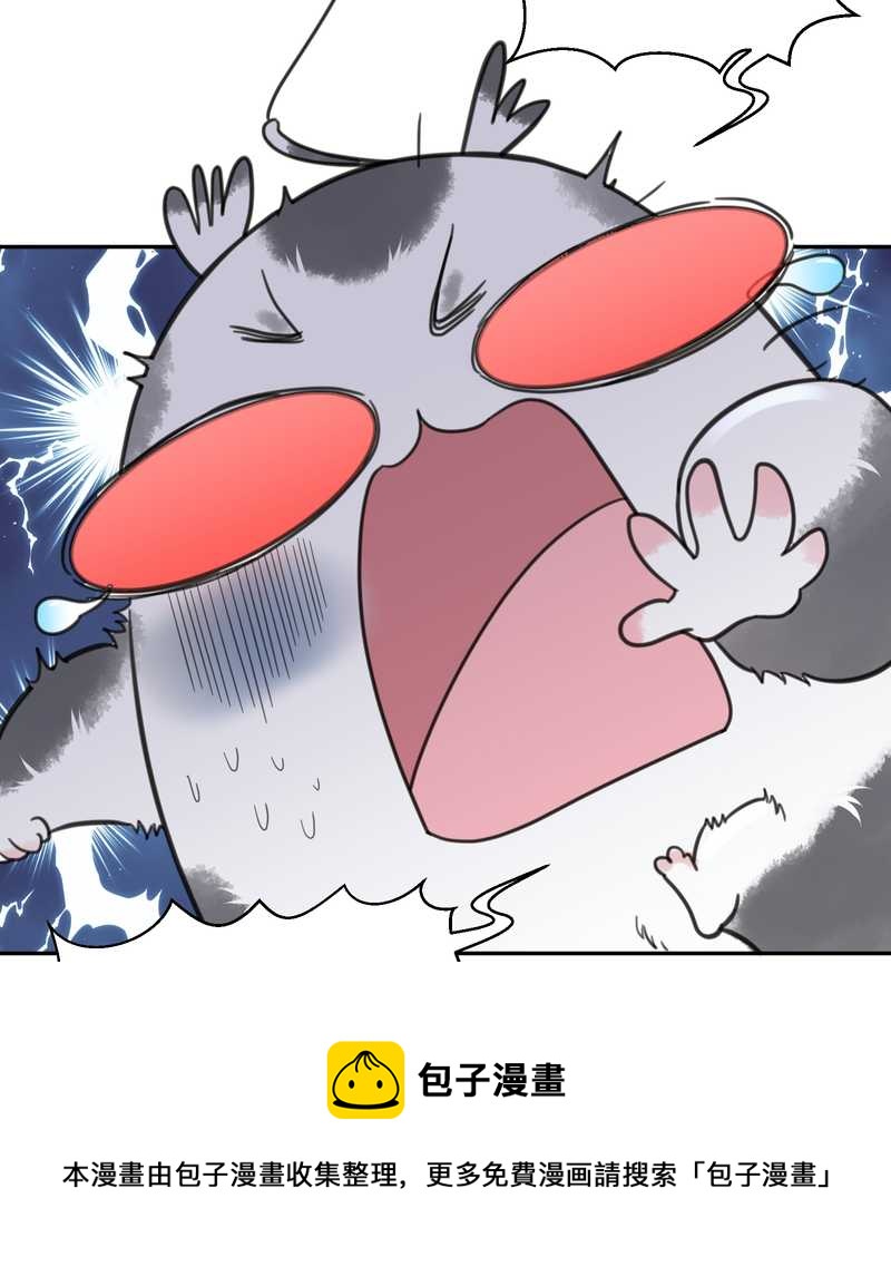 毛球星传说 第38集(1/2)-第38话