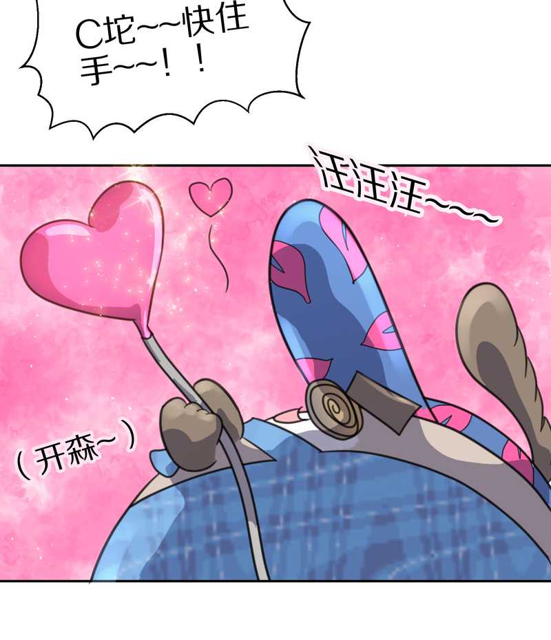 毛球星传说 第38集(1/2)-第38话