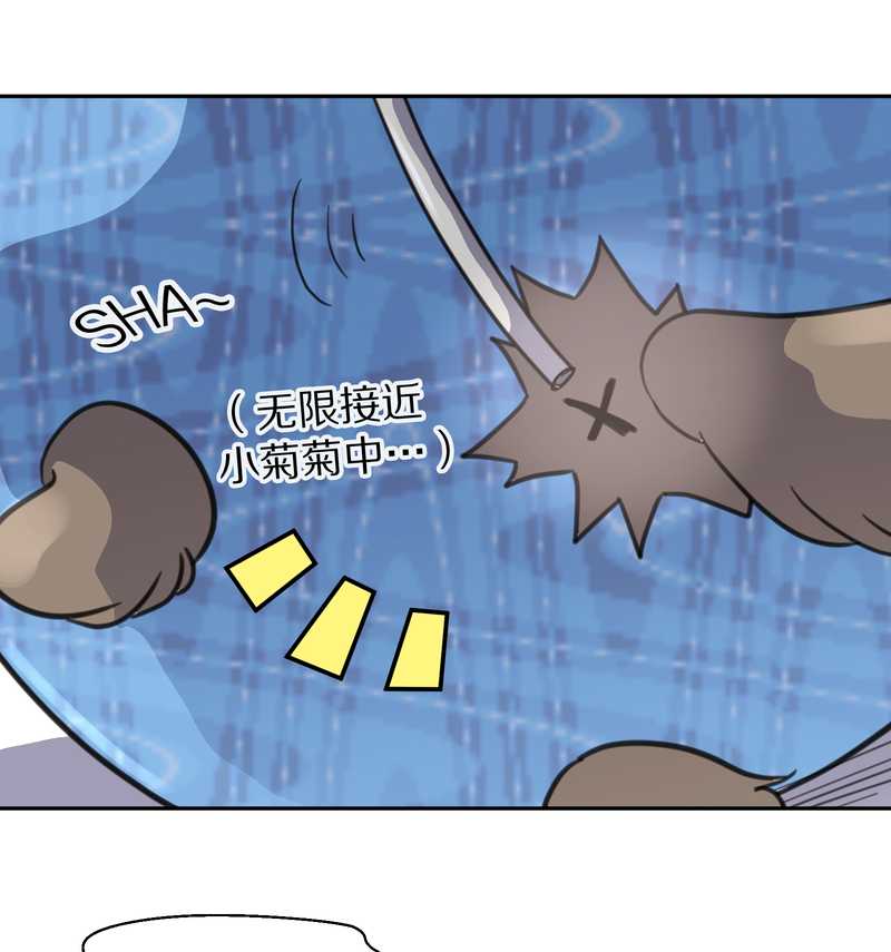 毛球星传说 第38集(1/2)-第38话