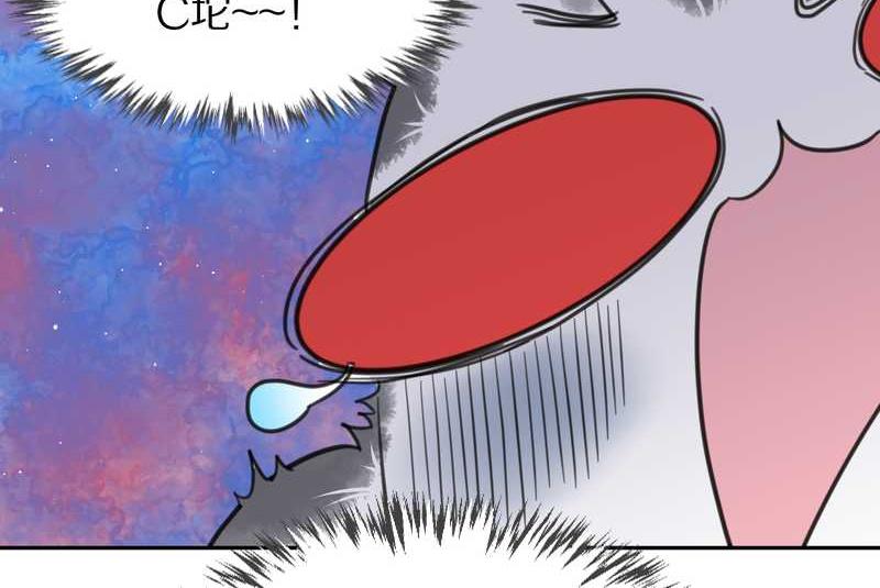 毛球星传说 第38集(1/2)-第38话