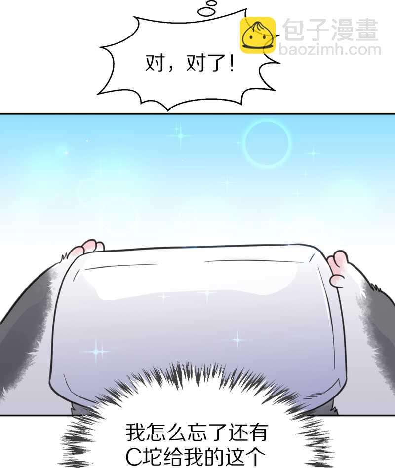 毛球星传说 第38集(1/2)-第38话