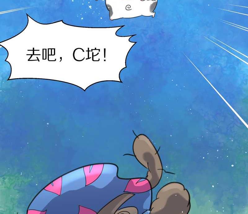 毛球星传说 第38集(1/2)-第38话