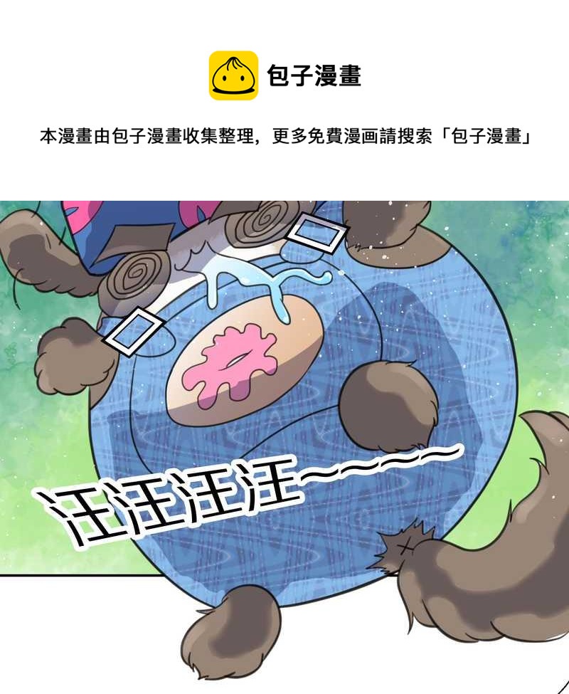 毛球星传说 第38集(1/2)-第38话