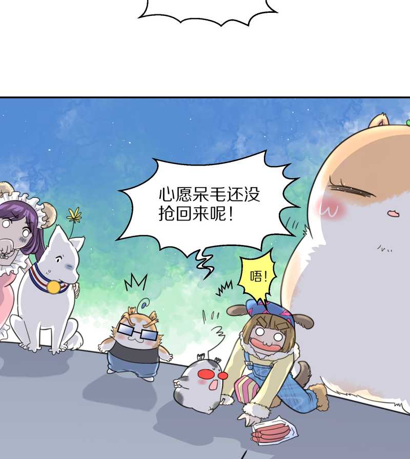 毛球星传说 第38集(1/2)-第38话