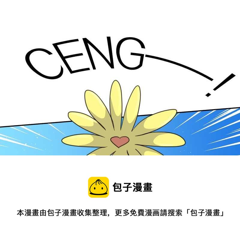 毛球星传说 第38集(1/2)-第38话