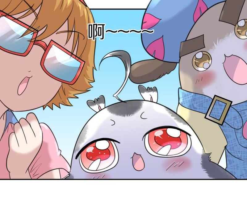 毛球星传说 第40集(1/2)-第40话