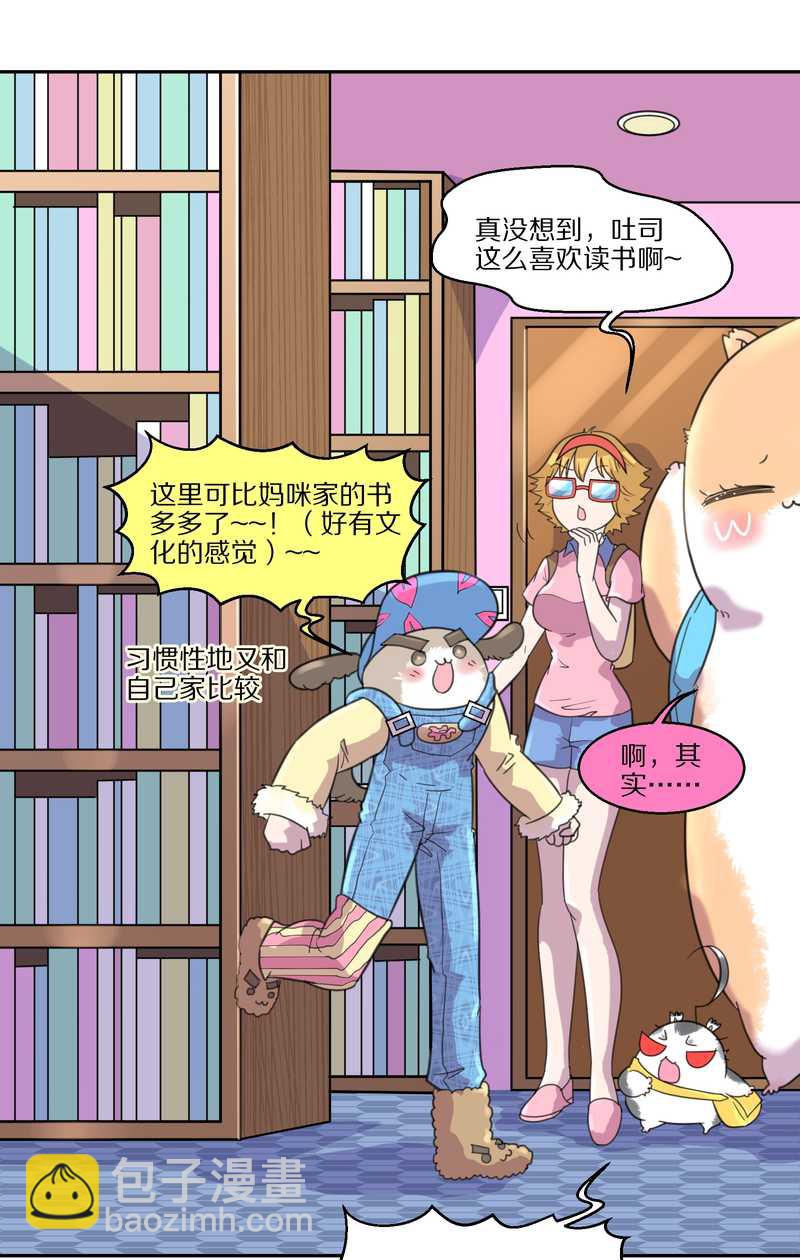 毛球星传说 第40集(1/2)-第40话