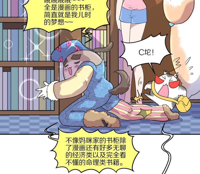 毛球星传说 第40集(1/2)-第40话