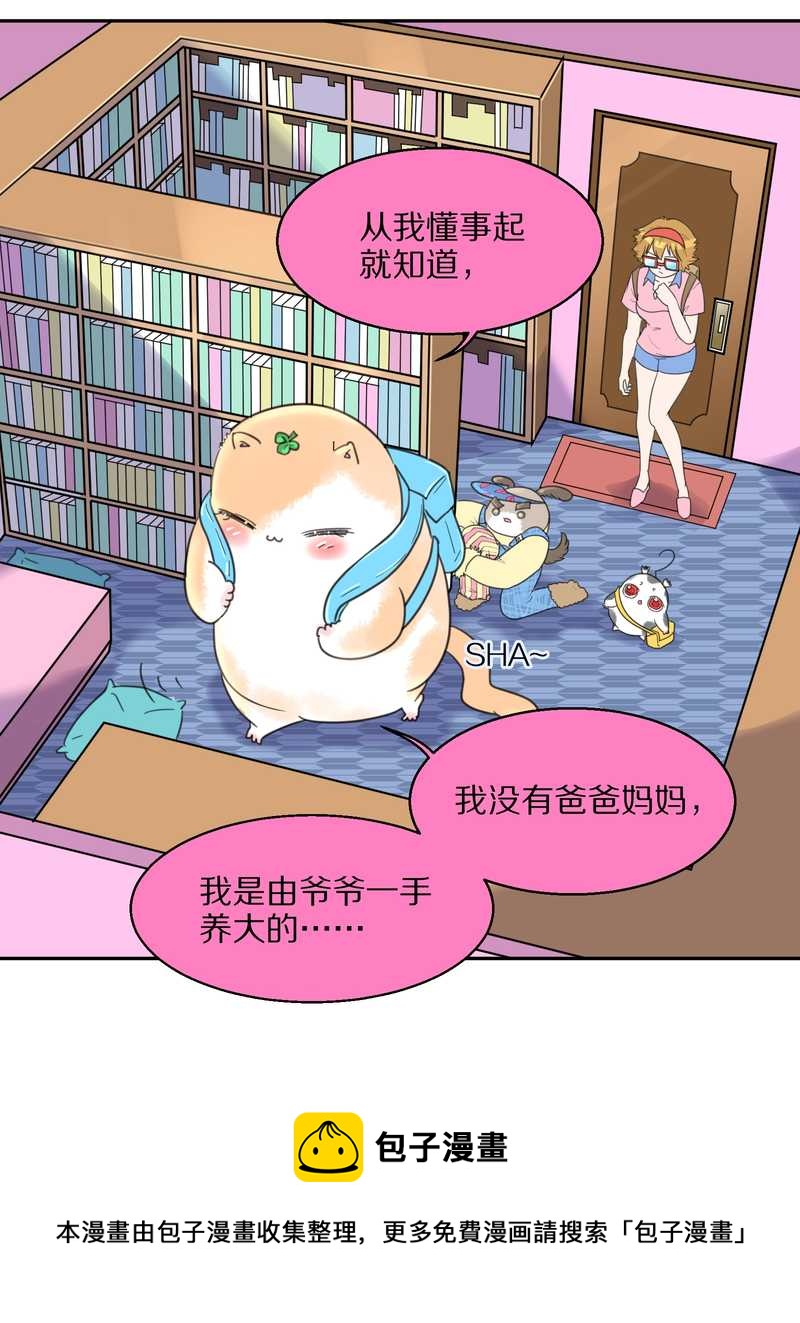 毛球星传说 第40集(1/2)-第40话