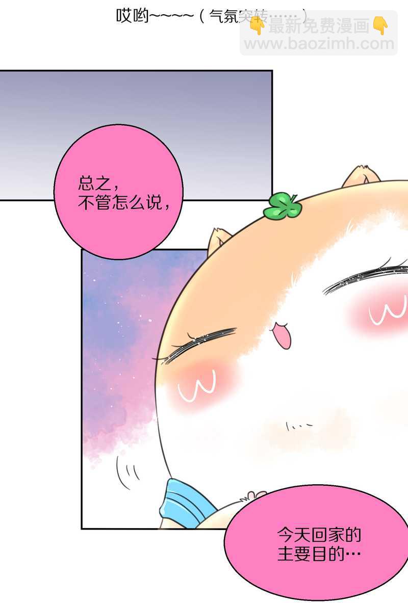 毛球星传说 第40集(1/2)-第40话
