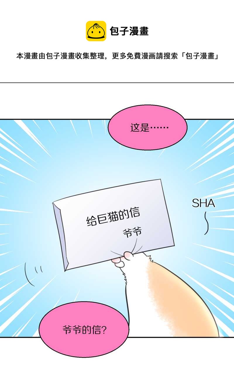 毛球星传说 第40集(1/2)-第40话