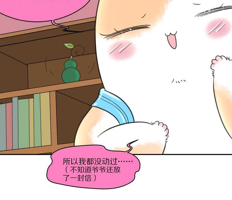 毛球星传说 第40集(1/2)-第40话