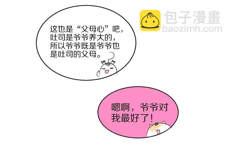 毛球星传说 第40集(1/2)-第40话