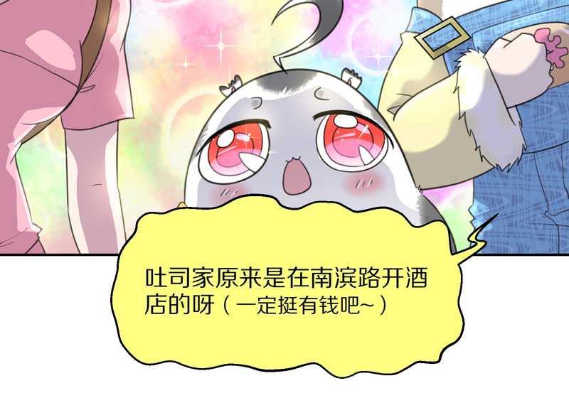 毛球星传说 第40集(1/2)-第40话