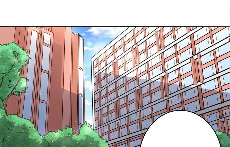 毛球星传说 第42集(1/2)-第42话