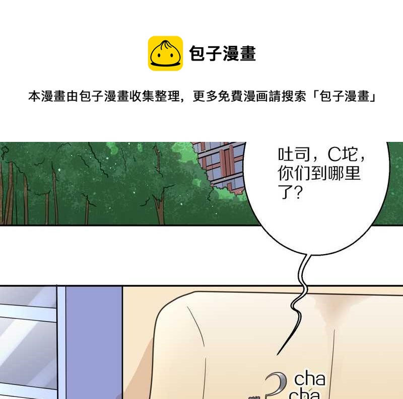 毛球星传说 第42集(1/2)-第42话