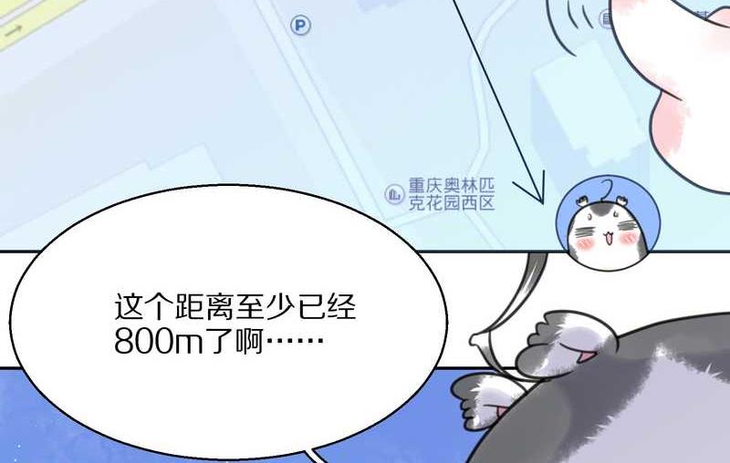 毛球星传说 第42集(1/2)-第42话
