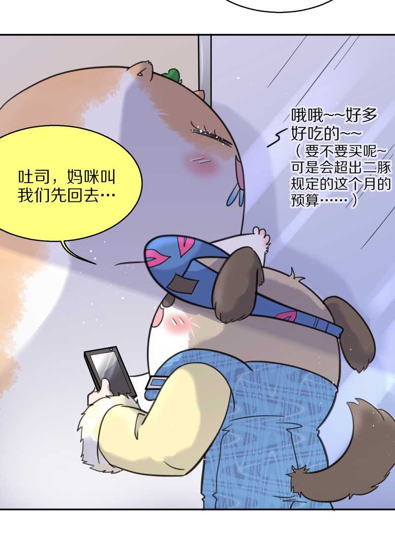 毛球星传说 第42集(1/2)-第42话