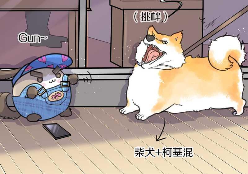 毛球星传说 第42集(1/2)-第42话