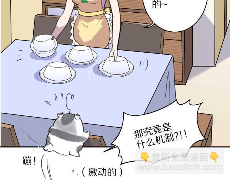 毛球星传说 第42集(1/2)-第42话