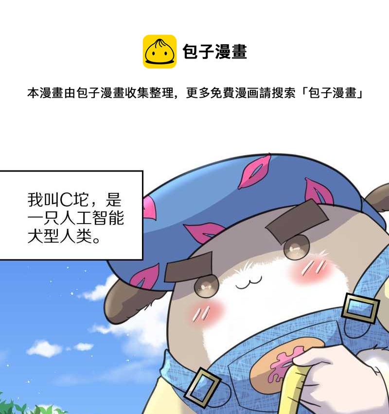 毛球星传说 第42集(1/2)-第42话