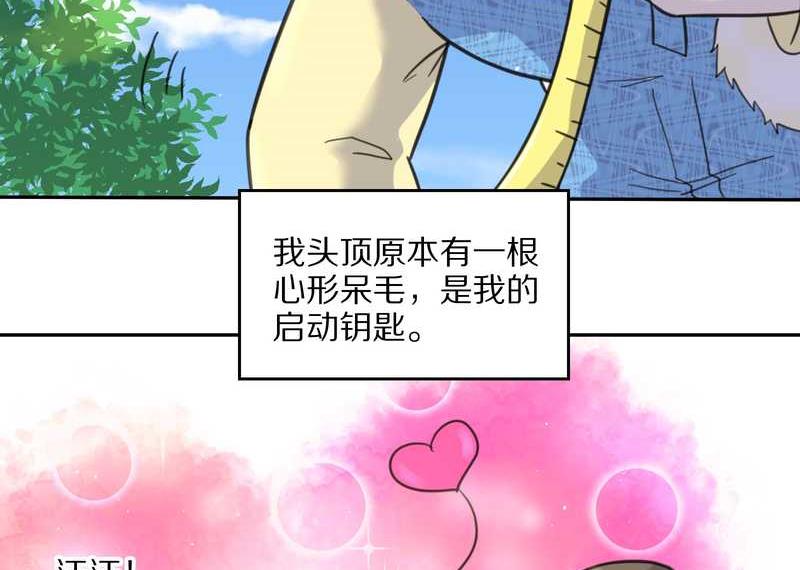 毛球星传说 第42集(1/2)-第42话