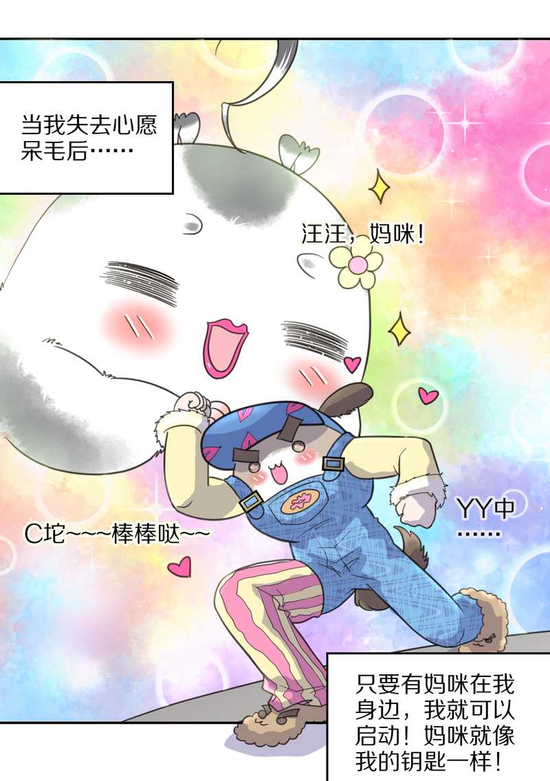 毛球星传说 第42集(1/2)-第42话