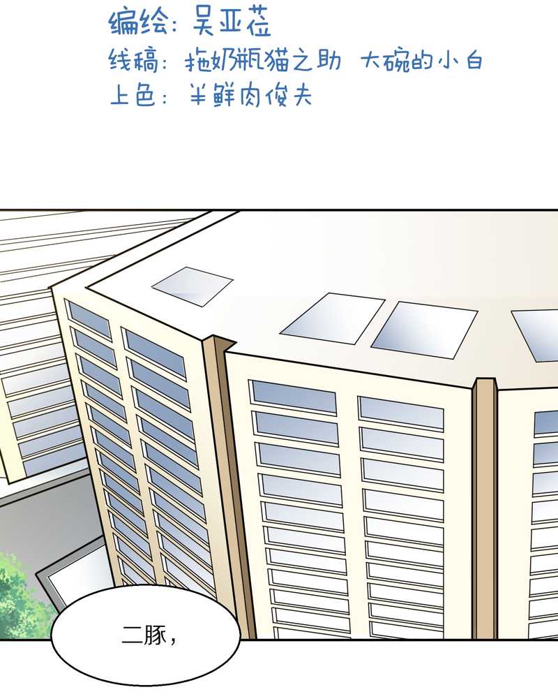 毛球星传说 第44集-第44话