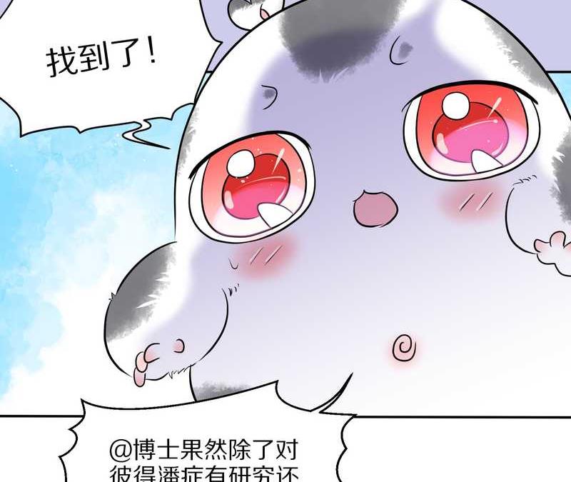 毛球星传说 第44集-第44话