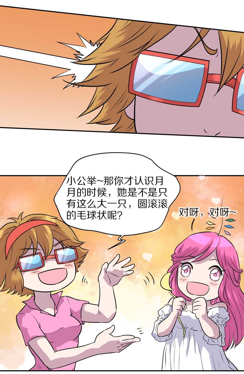 毛球星传说 第46集(1/2)-第46话