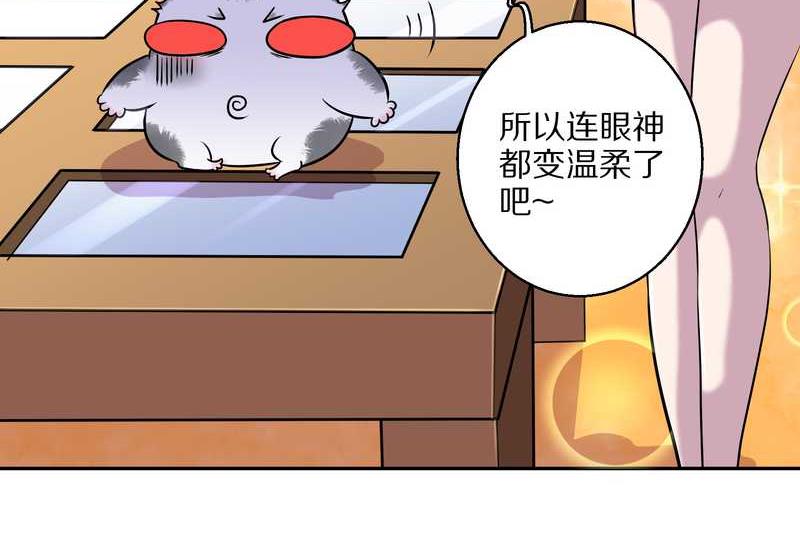 毛球星传说 第46集(1/2)-第46话