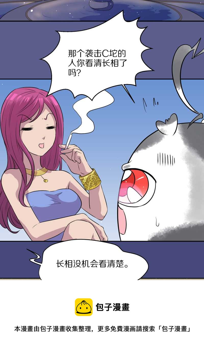 毛球星传说 第48集(1/2)-第48话