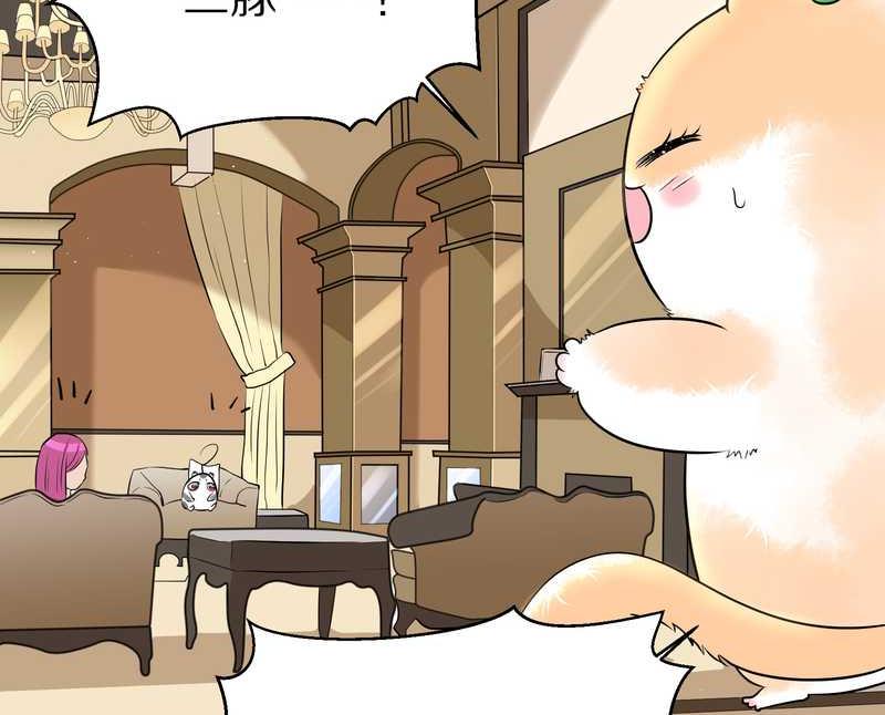 毛球星传说 第48集(1/2)-第48话