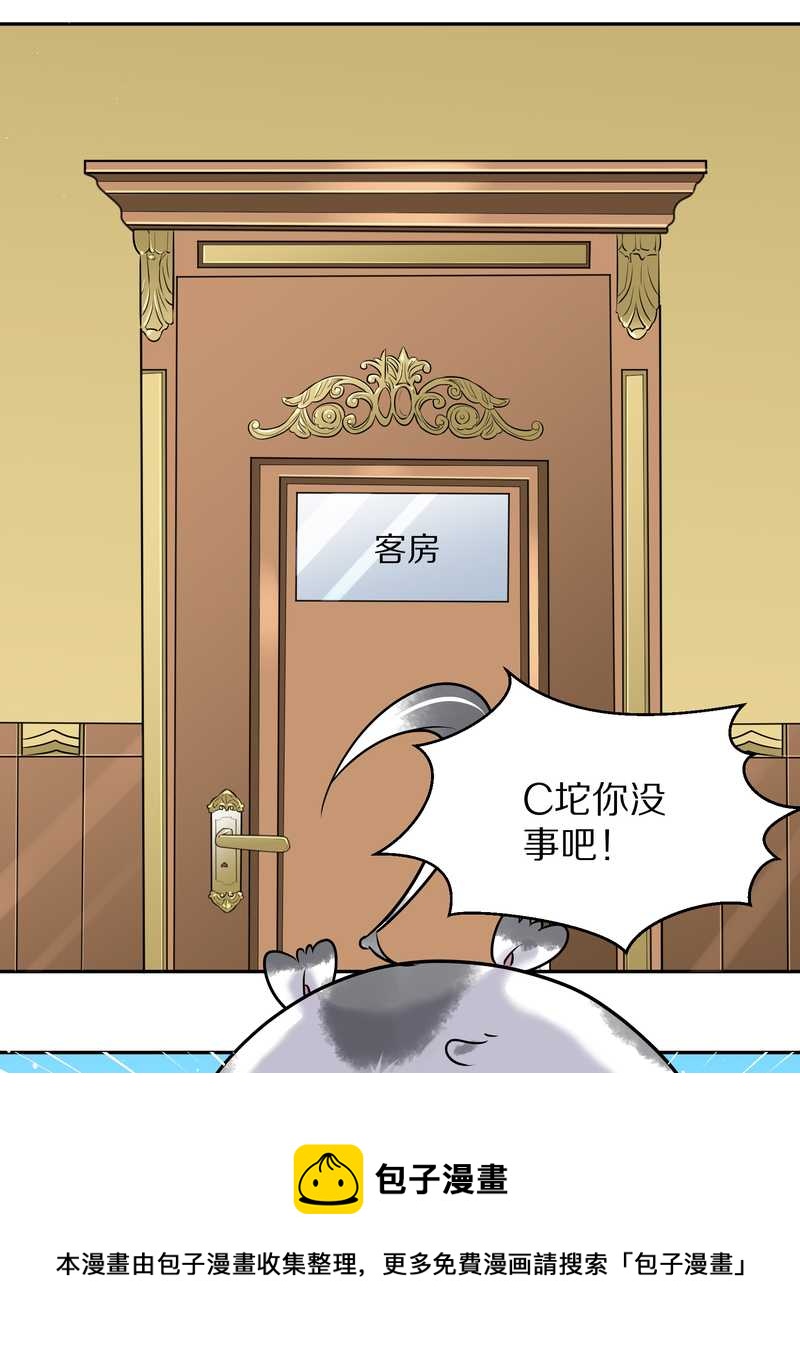 毛球星传说 第48集(1/2)-第48话