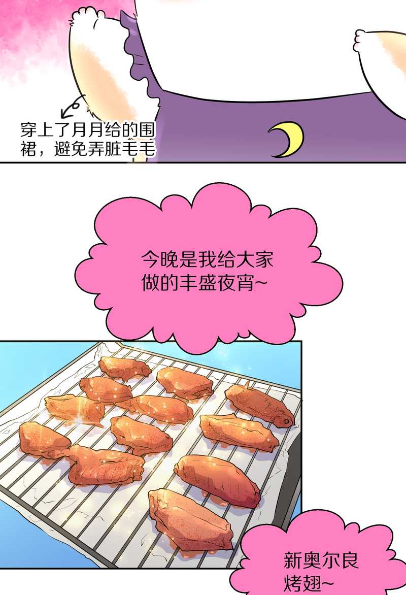 毛球星传说 第48集(1/2)-第48话