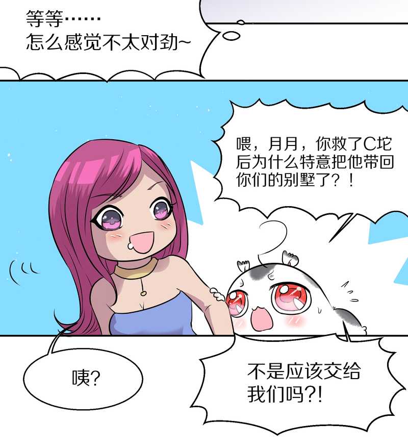 毛球星传说 第48集(1/2)-第48话