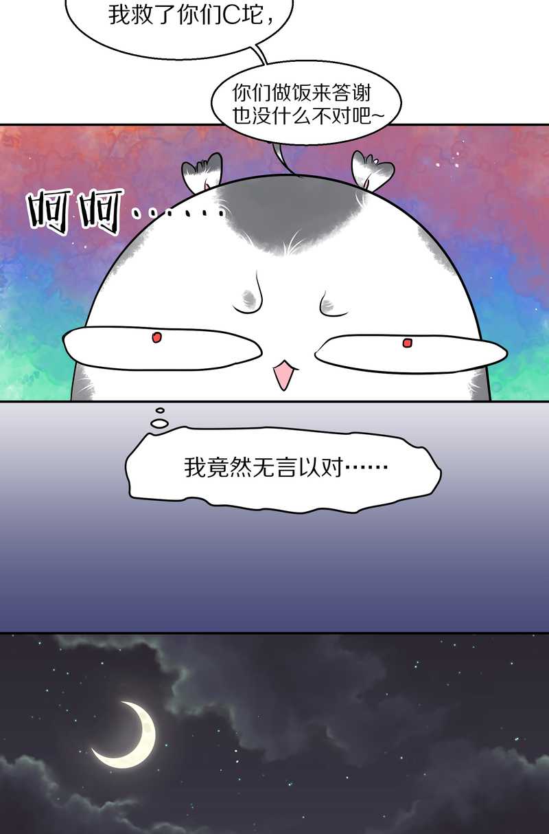 毛球星传说 第48集(1/2)-第48话