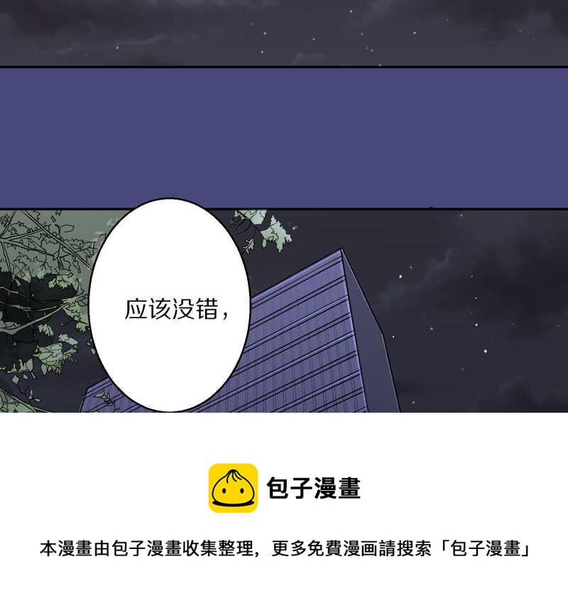 毛球星传说 第48集(1/2)-第48话