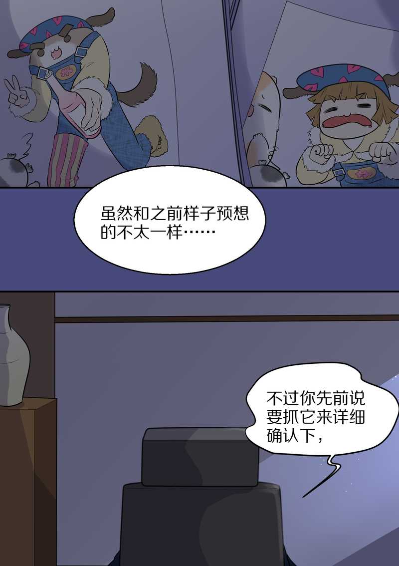 毛球星传说 第48集(1/2)-第48话