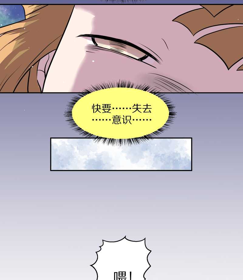 毛球星传说 第48集(1/2)-第48话