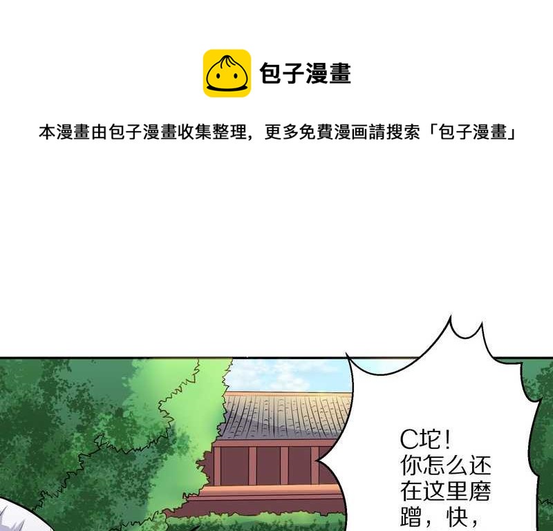 毛球星传说 第48集(1/2)-第48话