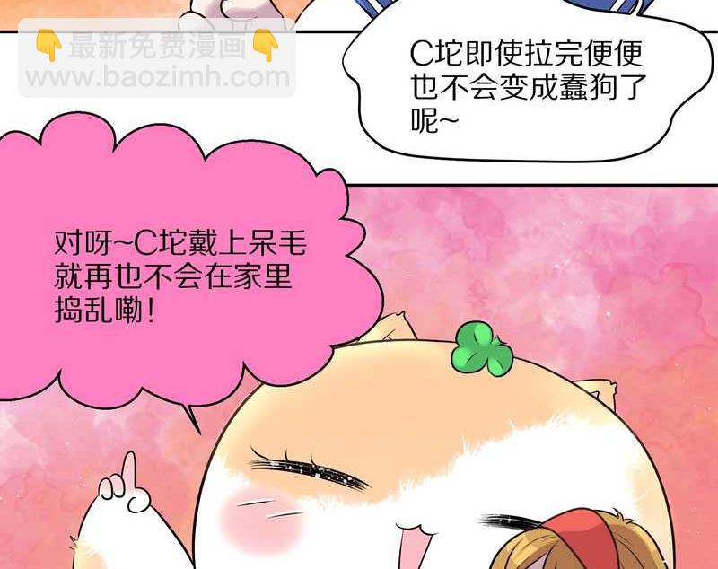 毛球星传说 第50集(1/2)-第50话