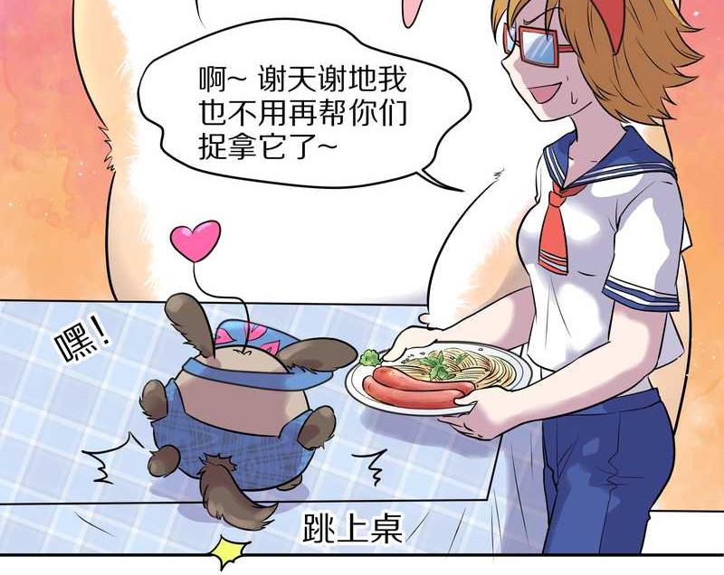 毛球星传说 第50集(1/2)-第50话