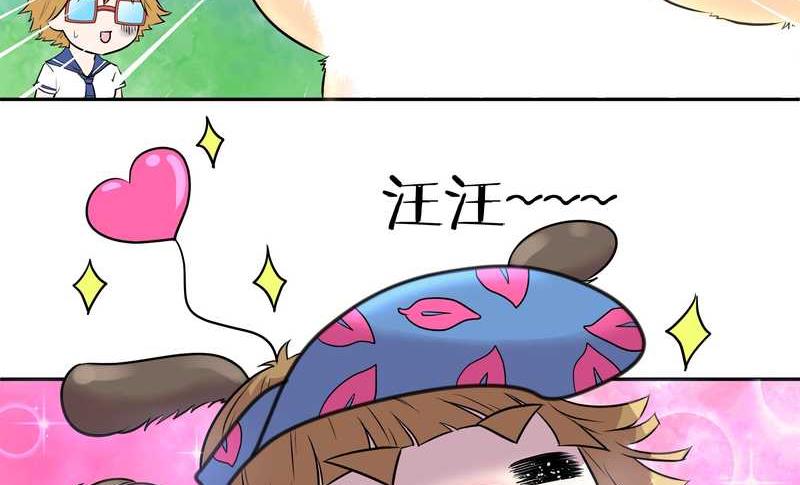 毛球星传说 第50集(1/2)-第50话