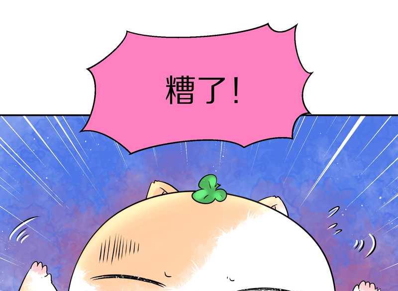 毛球星传说 第50集(1/2)-第50话