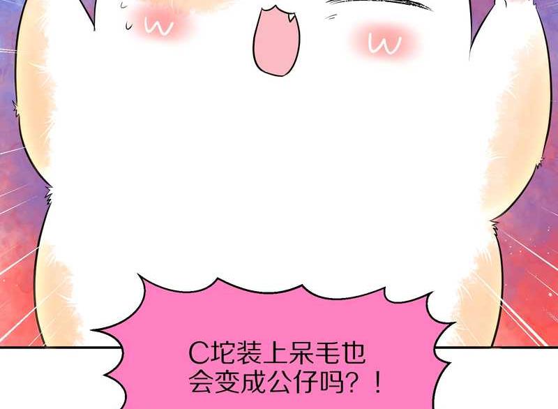 毛球星传说 第50集(1/2)-第50话